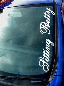 500mm (50cm) Large Sitting Pretty Sticker Decal Graphic JDM DUB EURO FUNNY LOW - Picture 1 of 2