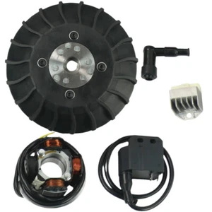 Kit Di Accensione Senza Contatto Per Vespa 50-125/PV/ET3/PK50-125/S - Foto 1 di 3