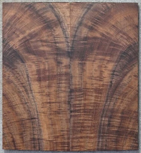 Shimmering Multi Color Curly Koa knife scales #0070, 6 5/8" x 3" x 7/16" - Picture 1 of 4