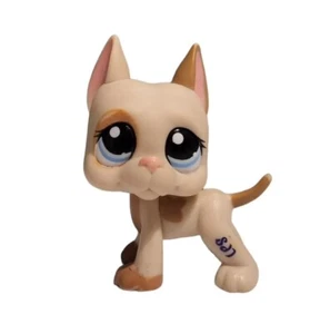 LPS #1647 LITTLEST PETSHOP ORIGINAL AUTHENTIQUE CHIEN ARGENTIN DOG HASBRO New - Picture 1 of 3