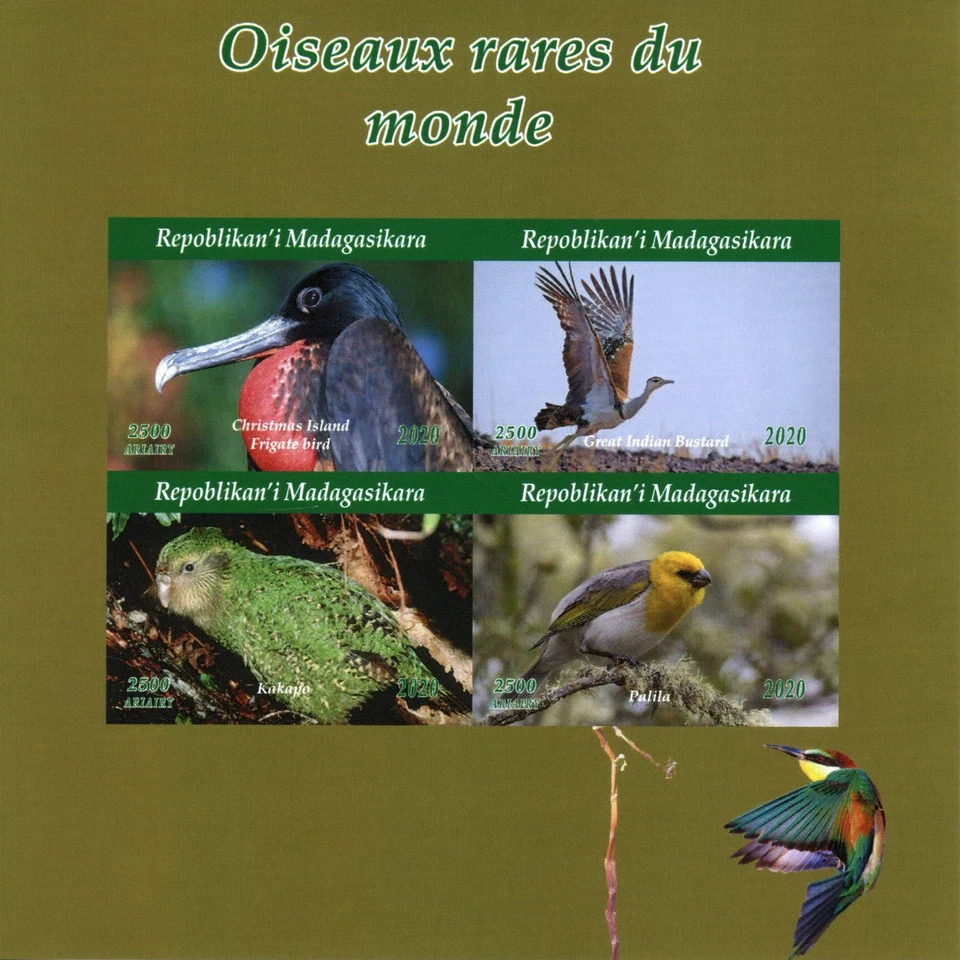 Madagascar Rare Birds Stamps 2020 MNH Parrots Kakapo Frigatebird 4v IMPF M/S II - Image 1 of 1