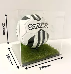 Fußball Vitrine mit Gras - Bild 1 von 1