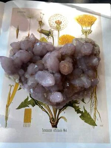 Spirit Quartz Cluster 1.28 lbs South Africa - Picture 1 of 8
