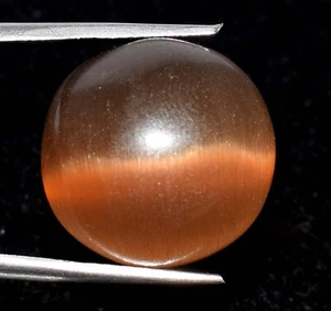Occhio di Gatto Marrone Naturale 21,50 Ct Cabochon Tondo Pietra Preziosa Sciolta Certificata B71786 - Foto 1 di 7
