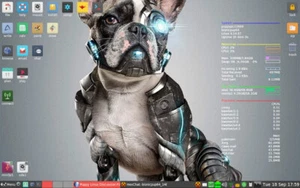 Puppy OS USB Drive - Linux Operating System - Latest 64Bit Version - Picture 1 of 6