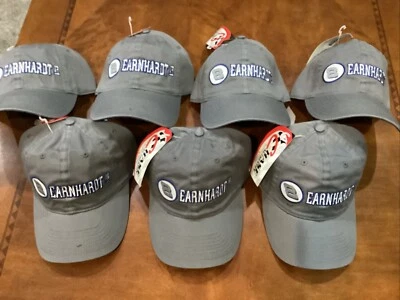 ВИНТАЖНЫЙ 2001 DALE EARHARDT JR серый призрак шляпа крышка новый с ярлыком CHASE NASCAR - Изображение 1 из 4