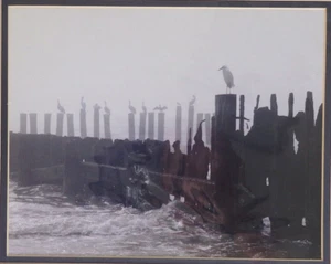 Small Black & White Photo Signed, Pelicans, Egret, Birds on Pier Landscape NOS - Picture 1 of 6