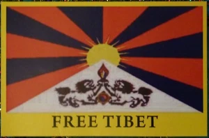 Free Tibet Peaceful Protest Sticker x2 * 11cm x 7.2cm SLIGHTLY PIXELATED IMAGE - Picture 1 of 1