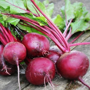 1/4 Lb Early Wonder Beet Seeds - Everwilde Farms Mylar Seed Packet - Picture 1 of 2