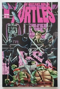 Teenage Mutant Ninja Turtles #23 VF 2ND APP OF LADY SHREDDER! FINAL ISSUE! - Picture 1 of 12
