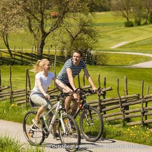4 Tage Wellness Urlaub Boutique Hotel Erla 4* Stubenbergsee Steiermark Reise - Bild 1 von 1