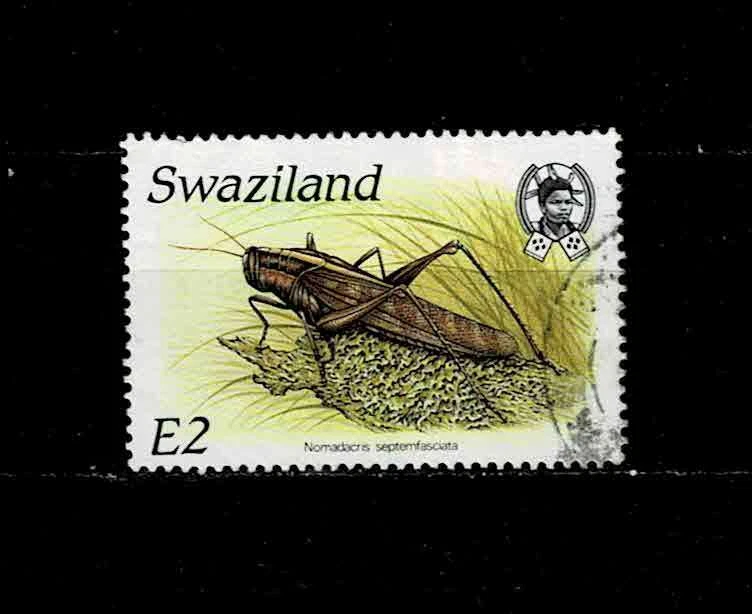 11206- Swaziland, Scott 534 top value of the set, used. Fauna, insects, animals - Image 1 of 1