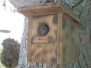 NIDO IN LEGNO PER UCCELLI CASETTA PER COVA  NIDIFICAZIONE RIPARO GABBIA VOLIERA - Foto 1 di 1