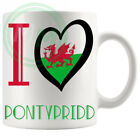 Funny Rude Novelty Mug I Love Pontypridd Mug