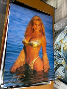 #111 Vintage 1996 39.5x26.5 Poster Sexy Pamela In Gold Man Cave Pin Up ScanDecor - Picture 1 of 3