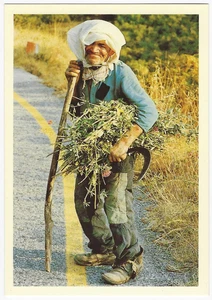 Sicily Italy Postcard Typical Peasant Portrait Scythe Thistle Patches - Picture 1 of 2
