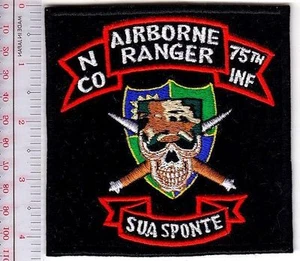 Airborne US Army Ranger Vietnam 173rd Airborne Infantry Brigade N Co 75th Inf RG - Picture 1 of 1