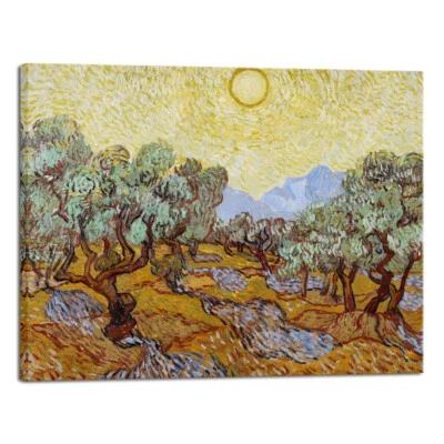 Large Olive Trees with Yellow Sky and Sun Canvas Print of Vincent VanGogh Framed - Image 1 of 4