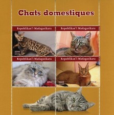 Madagascar Cats Stamps 2020 CTO Cat Domestic Animals Pets 4v M/S