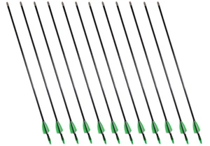12pcs 28" Fiberglass Arrows Nocks Recurve Compound bow Hunting + 12 Broadheads - Picture 1 of 7