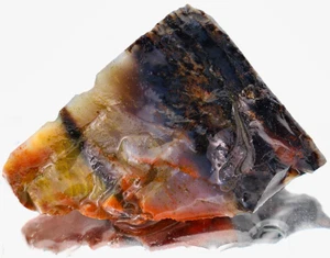 Petrified Fossil Wood Arizona Raw Mineral Natural Rough Rock Raw Colorful 1oz - Picture 1 of 11
