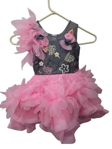 S. Moni Pink Gray Ruffle Girls Dress Size 20 (2-3 Years) - Picture 1 of 5