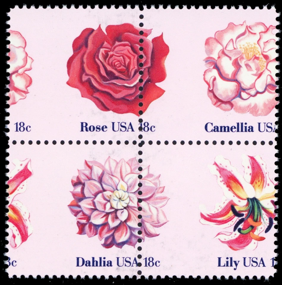 1876-79a, MNH 18¢ Misperforated Freaky Error Block * Stuart Katz - Image 1 of 1