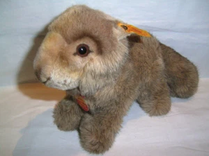 Steiff marmotta Drolly bottone bandiera insegna 22 cm - Foto 1 di 7