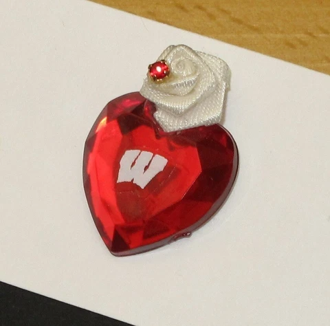 UW Madison Wisconsin Badger Football 1999 Rose Bowl Post Earrings Cover