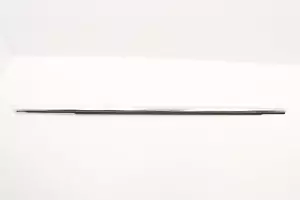 2021-2023 BUICK ENVISION PUERTA DELANTERA DERECHA VENTANA CINTURÓN MOLDURA RESISTENTE AL CLIMA OEM - Imagen 1 de 10