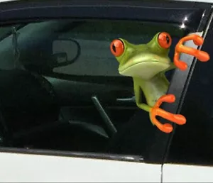 3D Green Tree Frog  Funny Car Sticker Truck Window Decal Graphics fun walls  - Picture 1 of 5