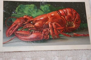 ANTIKE HANDELSKARTE ARBUCKLE BROS. COFFEE CO, NEW YORK "RED LOBSTER" 1889 - Bild 1 von 4