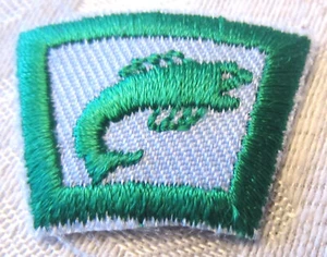 Vintage Uniform Patch Boy Scout Bsa Rocker Bar Award Green White Fishing Fish - Picture 1 of 1