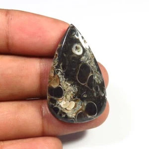 Brown Turtella Pear Cabochon 23cts Natural turtella Gemstone 33x20x4mm TU-86 - Picture 1 of 9