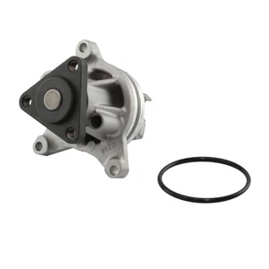PROTEX GMB WATER PUMP FOR FORD FIESTA WQ 2.0L 4CYL 1/2007 - 12/2008 PWP4075G - Picture 1 of 9