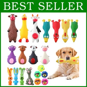 Verschiedene Latex Gummi Hundespielzeug Paket mit Quietsch Kaubällen - Bild 1 von 9