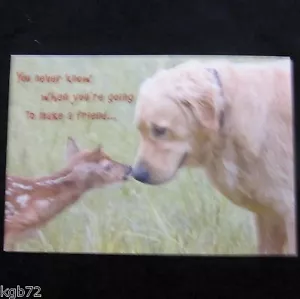 Leanin Tree Freundschaft Tiere Grußkarte Mehrfarbig R145 - Bild 1 von 2