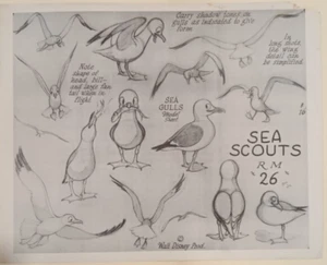 Disneys "Sea Scouts" 1939 Original Foto Modellblatt Seemöwen - Bild 1 von 1