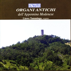 Liuwe TAMMINGA Organi Antichi Dell'Appennino Modenese MOZART MARTINI  [CD] NM++ - Imagen 1 de 3