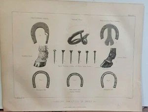 1888 Antik FERRIERY Druck Sorten von PFERDESCHUHEN & NÄGELN + Briefdruck Info - Bild 1 von 2
