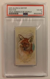 1888 N25 Allen & Ginter Wild Animals of the World - Red Fox - PSA 4 - Picture 1 of 2
