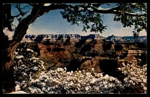 Cartolina Parco Nazionale del Grand Canyon in inverno - Foto 1 di 2