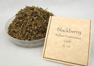 Blackberry Leaf  Loose Herb 1 oz.  BUY ONE GET ONE FREE - Picture 1 of 2