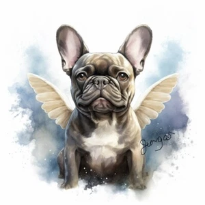 Aquarell Französische Bulldogge Kunstdruck auf Giclée 8x11 Wandbild INKLUSIVE 11X14 MATT - Bild 1 von 2