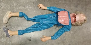 Laerdal Resusci Anne HLW Trainer Puppe Torso mit Koffer - Bild 1 von 7