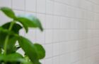 Keramik Mosaik Fliese Weiß Matt Fliesenspiegel Badezimmerwand Küchenrückwand 