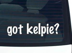 got kelpie? DECALCOMANIA AUTO ADESIVO PARAURTI VINILE DIVERTENTE SCHERZO FINESTRA - Foto 1 di 6