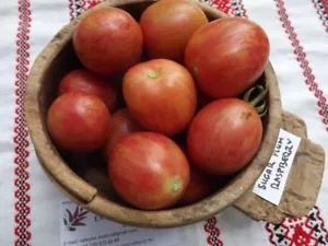 Tomate frambuesa ciruela azúcar - mini tomate - más de 5 semillas - ¡HERENCIA! P 237 - Imagen 1 de 1