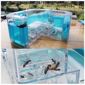 Ant Farm Castle, Ant Habitat-Science Kit Educational Insect Maze Kids Toy 2023 - Picture 1 of 16