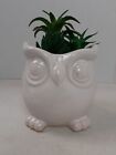 White Ceramic Whimsical Owl Planter 5.5"x5.5"x5.5" w/ Stone & Plastic Plants 524